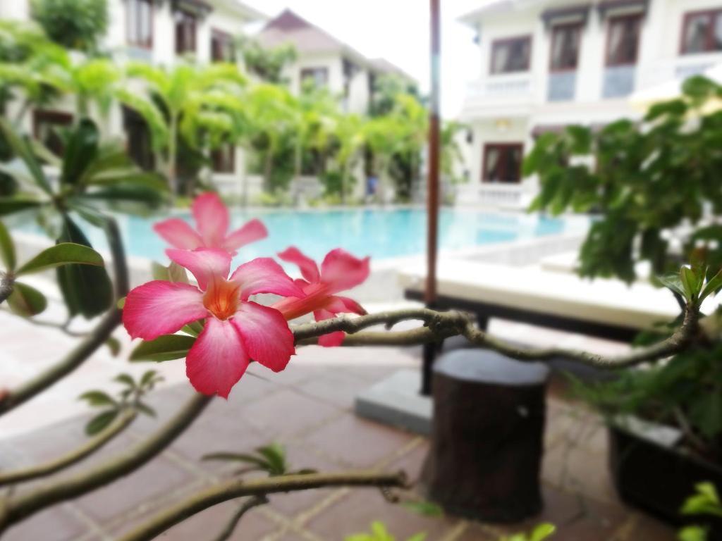Hoi An Memority Villas & Spa Exteriör bild
